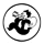 GUITARESTAGE-URBINO-
